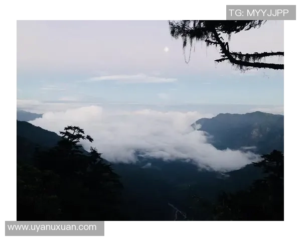 吴伟独家分享攀岩技巧与心得体会助你征服高峰实时数据 吴伟独家分享攀岩技巧与心得体会助你征服高峰实时数据